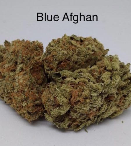 blue afghan marijuana in DC